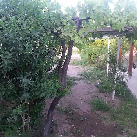 Ev בית נופש גומושלוק